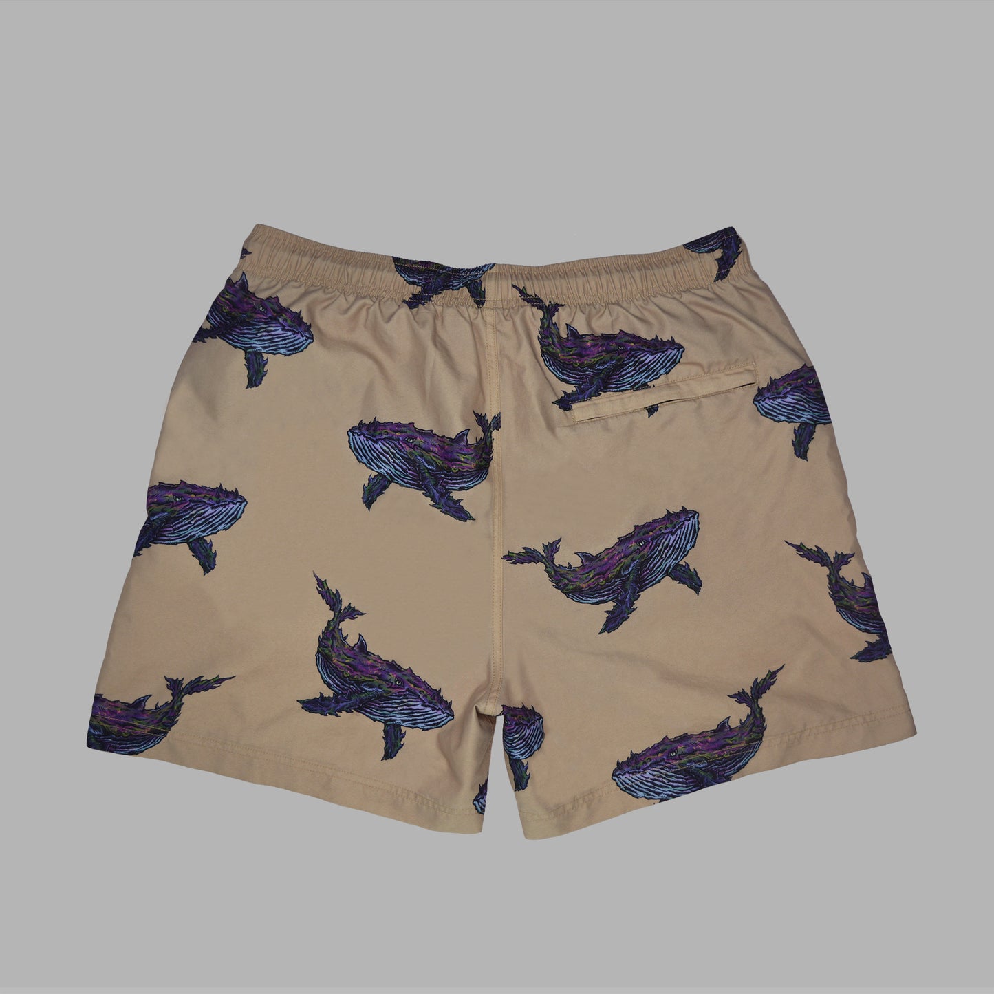 Humpback Whale Beach Shorts